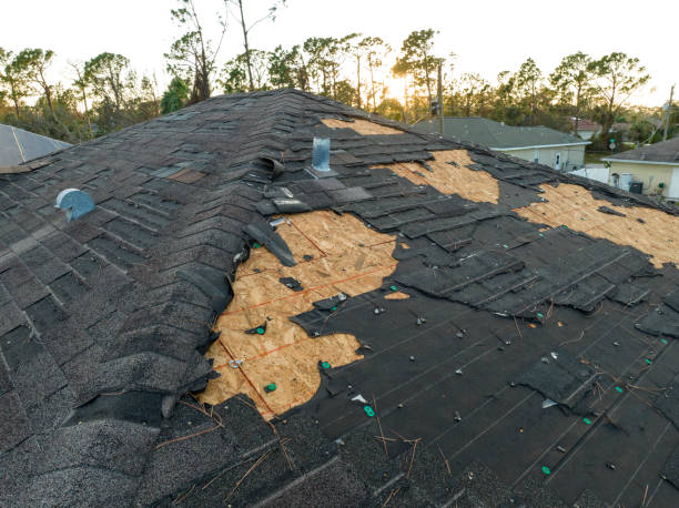 Best Metal Roofing Installation  in Kingstree, SC